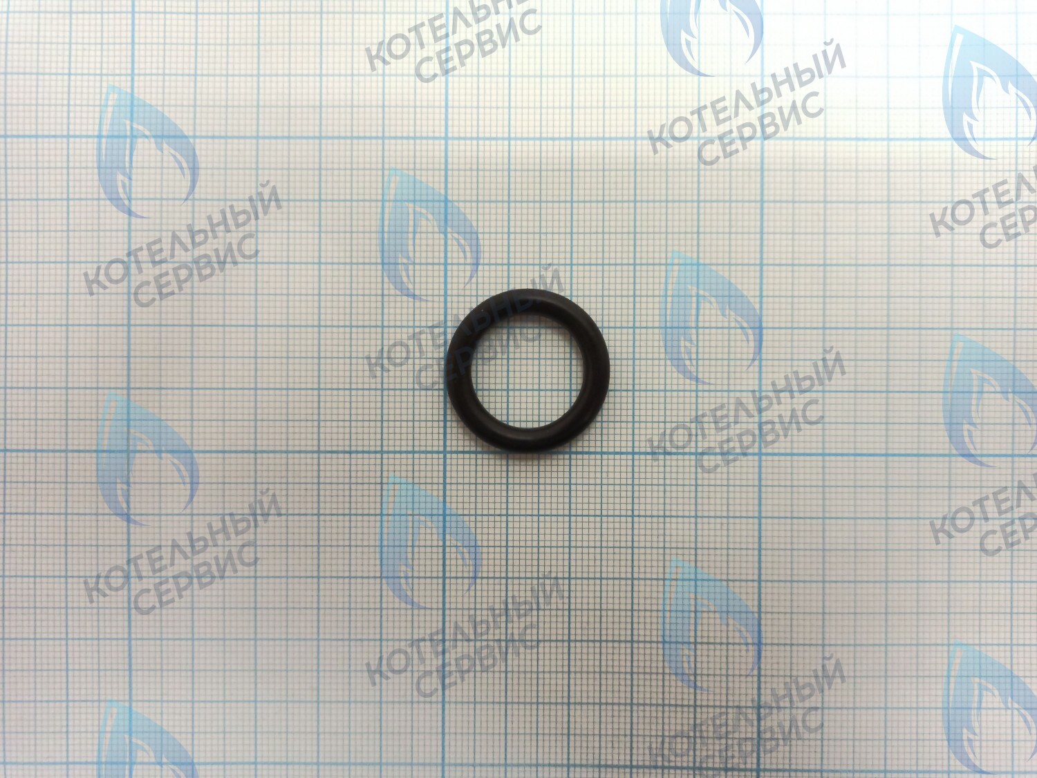 ZR101 Уплотнительное кольцо (прокладка) соединения гидрогруппы и улитки циркуляционного насоса в Москве